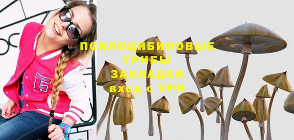 эйфоретик Аркадак
