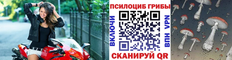 Галлюциногенные грибы мухоморы  цены наркотик  Светлогорск 